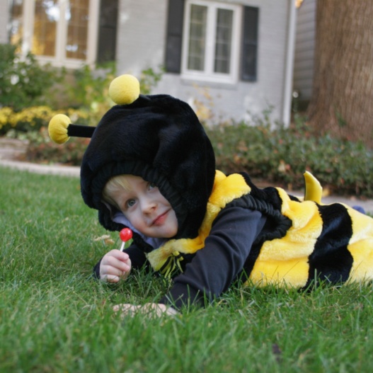 Boy Eating Candy Rose Pest Control